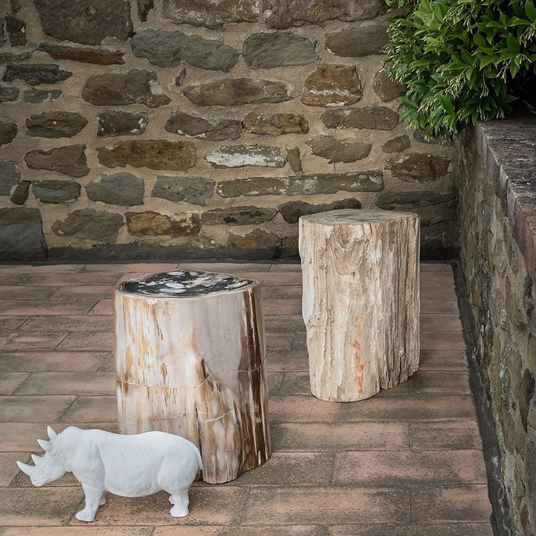 Tavolini in legno pietrificato Fossil