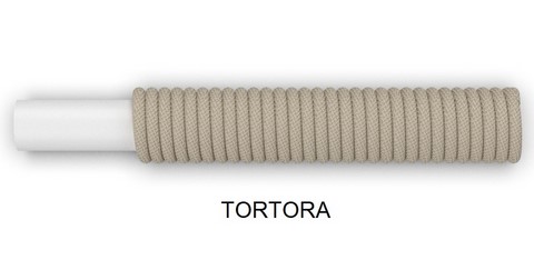 colori talenti